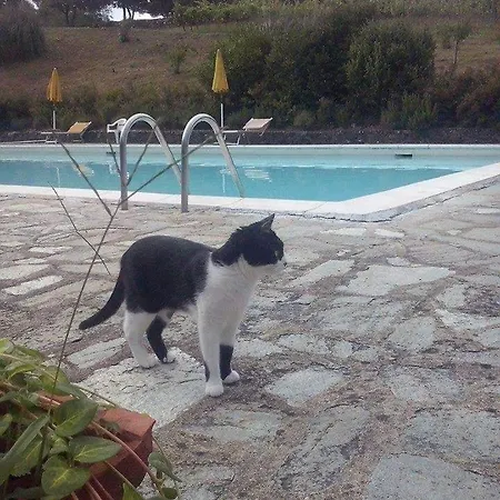 La Casina Di Tina *