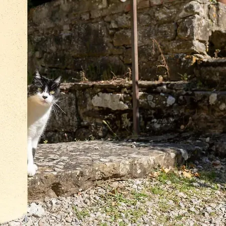 La Casina Di Tina Badia a Ruoti
