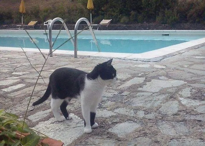 Villa Badia A Ruoti *