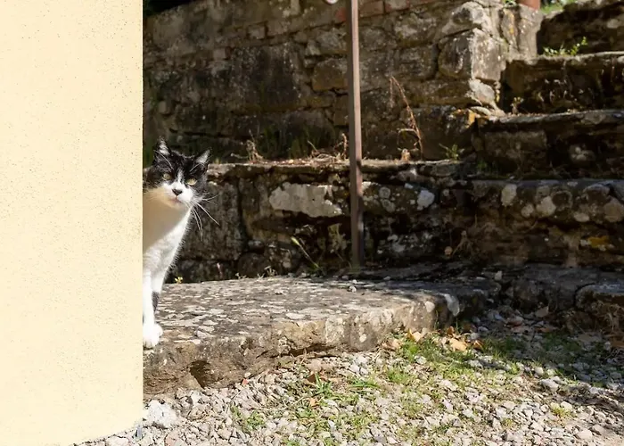 Villa Badia A Ruoti Badia a Ruoti